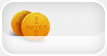 Pharmaceutical Wholesalers